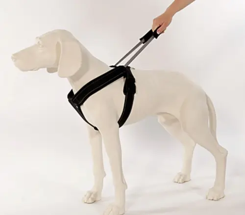Harness Integrated Leash L Red