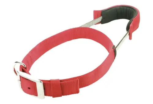Basic Line Collar XL Red