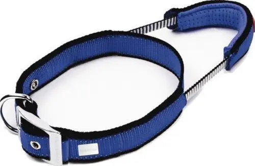 Basic Line Collar L Blue